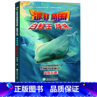 [正版]冰狱帝国白鲸王球球 你一定没听过的神秘动物故事我要成王系列 李浚丰著三四五六年级中小学生课外阅读物儿童科普百科