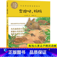 [正版]视频朗读版奔跑吧妈妈 彩虹桥动物母爱绘本 沈石溪动物小说系列单本儿童书籍0-3-6岁宝宝早教启蒙认知书睡前故事