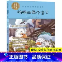 [正版]视频朗读版妈妈的两个小宝贝 彩虹桥动物母爱绘本 沈石溪动物小说系列 儿童书籍0-3-6岁宝宝早教启蒙认知睡前故