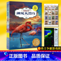 [正版]神风火烈鸟(全彩升级版) 动物小说大王沈石溪精读酷玩系列 狼王梦作者儿童文学书籍6-12周岁三四五六年级小学生