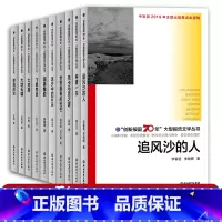 [正版]创新报国70年大型报告文学丛书全10册 大对撞/大地无疆/托卡马克之谜/飞蝗物语/追风沙的人/钟情一生等原创纪