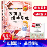 [正版]爱丽丝漫游奇境 名师解读版 快乐读书吧六年级下册经典故事精选集 儿童文学彩图绘本书籍8-12岁小学生课外读物