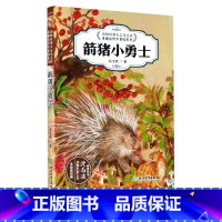 [正版]箭猪小勇士(全彩美绘版) 动物故事大王马文秋奇趣自然大冒险系列 儿童文学百科书籍6-12周岁阅读三四五六年级小