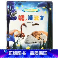[正版]幼儿启蒙小百科 嘘,睡觉了 儿童知识早教启蒙益智自然动物 小型科普百科知识类书籍3-5-8岁幼儿园学前阅读课外