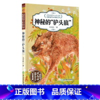[正版]神秘的驴头狼(全彩美绘版)动物故事大王马文秋奇趣自然大冒险系列 儿童文学书籍6-12周岁三四五六年级小学生课外