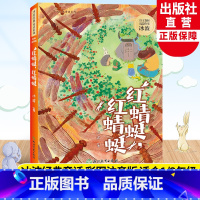 红蜻蜓红蜻蜓 [正版]红蜻蜓 红蜻蜓 冰波经典童话系列 含大背壳乌龟 彩图注音版 孤独的小螃蟹蓝鲸的眼睛作者 一二年级小
