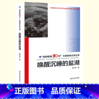[正版]唤醒沉睡的盐湖 创新报国70年大型报告文学丛书 董立勃 盐湖科技工作者的故事 原创纪实性报告文学人文历史书籍浙
