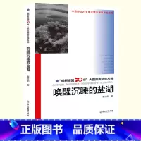 [正版]唤醒沉睡的盐湖 创新报国70年大型报告文学丛书 董立勃 盐湖科技工作者的故事 原创纪实性报告文学人文历史书籍浙