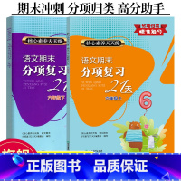 语文 小学六年级 [正版]2025新版 语文期末分项复习21天六年级上下2册 核心素养天天练 小学单元同步测试卷期中末综