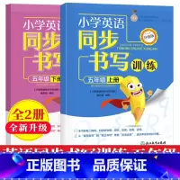 小学英语同步书写训练 五年级上下2册 小学五年级 [正版]小学英语同步书写训练 五年级上下2册 PEP人教版英语同步描红