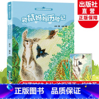 袋鼠妈妈历险记 [正版]袋鼠妈妈历险记 雨街动物趣读系列 狼王梦小说作者沈石溪儿童书籍8-12-15岁三四五六年级中小学