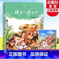 小蟒蛇归途奇遇 [正版]小蟒蛇归途奇遇 雨街动物趣读系列 狼王梦小说作者沈石溪儿童书籍8-12-15岁三四五六年级中小学