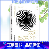 [正版]太阳坠落之时 张冉著 全球华语科幻星云奖金奖作品集 中国当代科幻小说作品精选集 青少年学生课外阅读 成人小说精