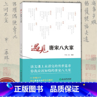 [正版]遇见唐宋八大家 司马一民著 唐宋八大家诗篇散文字画故事赏析 中华传统文化普及读物 中小学生课外读物 唐宋古典文