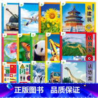 [新版14册]1+2辑童眼观世界 [正版]童眼观世界14册4-8岁儿童看图识物启蒙益智早教绘本翻翻书恐龙大百科全书全套认