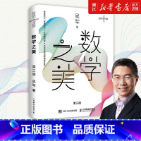 几何之美 [正版]数学之美(第3版) 吴军作品 物理学几何公式方程式之美 程序员的数学新增区块链 量子通信知识文津奖