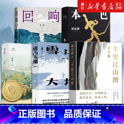 第十一届茅盾文学奖作品集五册 [正版]第十一届茅盾文学奖作品集五册 雪山大地+宝水+本巴+回响+千里江山图 东西 孙甘露
