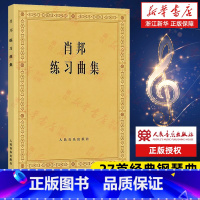 贝多芬钢琴奏鸣曲集(全4册) [正版]人音黄皮书钢琴系列肖邦练习曲集 贝多芬钢琴奏鸣曲集 肖邦圆舞曲集 肖邦夜曲集 李斯