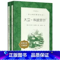 大卫·科波菲尔(上下2册) [正版]木偶奇遇记 经典名著口碑版本 语文阅读丛书 无删减原著 人民文学出版社 四五六七八九