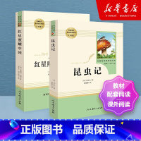[人教版/八年级上]昆虫记+红星照耀中国 [正版]红星照耀中国昆虫记法布尔人民教育出版社原著八年级上册下册课外阅读书名著