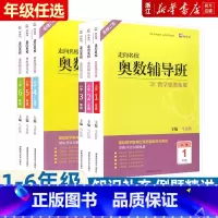 奥数辅导班 小学一年级 [正版]新版 走向名校奥数辅导班一二三四五六年级上册下册数学思维拓展训练 小学生头脑风暴开发大脑