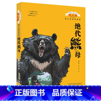 绝代熊母 [正版]沈石溪动物小说系列动物救助站全套12册 少年雄狮 9-15岁三四五六年级小学生课外阅读书籍经典动物儿童