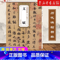 [正版]书店唐 陆柬之 文赋 历代碑帖精粹 简体旁注技法解析 第四辑毛笔行书碑帖练字帖 薛元明主编 安徽美术出版社