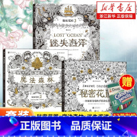 [套装赠彩笔]秘密花园1-3 [正版]任选秘密花园涂色书套装3册 秘密花园+魔法森林+迷失海洋 奇幻梦境 探索奇境的手绘