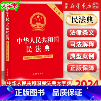 2024中华人民共和国民法典:大字版 [正版]2025年新版 中华人民共和国民法典大字版 法律条文司法解释典型案例 第二