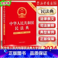 2024中华人民共和国民法典:大字版 [正版]2025年新版 中华人民共和国民法典大字版 法律条文司法解释典型案例 第二