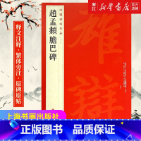 [正版]书店官网中国碑帖名品83 赵孟頫胆巴碑 释文注释 繁体旁注 楷书毛笔书法字帖书法练习 上海书画出版社 书店