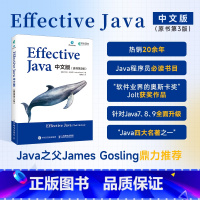 [正版]2024新书 Effective Java中文版 原书第3版 Java语言程序设计从入门到精通教程代码编写编程