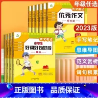 优秀作文名师妙解(7年级适用) [正版]爱德教育小学生作文大全好词好句好段积累三四五六七八年级满分作文精选五感法写作文高