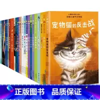 [全套25册]国际大奖小说书系2星 [正版]国际大奖小说书系·分级阅读二星 无字书图书馆 外公是棵樱桃树 喜乐与我 小学