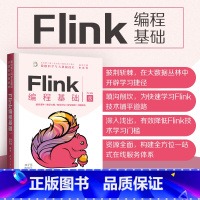 [正版]Flink编程基础(Scala版) 林子雨 计算机科学与技术数据处理软件
