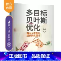 多目标贝叶斯优化——面向大模型的超参调优理论 [正版]新书多目标贝叶斯优化 面向大模型的超参调优理论 徐华 王洪燕 袁