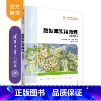 [正版]正品 数据库实用教程(第四版) 董健全、郑宇、丁宝康
