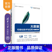[正版]新书 大数据可视化技术与应用(第2版·微课视频版) 黄源,任东哲 数据处理