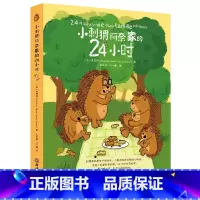 小刺猬阿奈家的24小时 [正版]小刺猬阿奈家的24小时