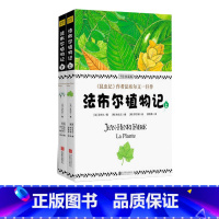 单本全册 [正版]书店法布尔植物记手绘珍藏版上下 植物爱好者不可错过的植物圣经科普百科全书书排行榜 读行天下