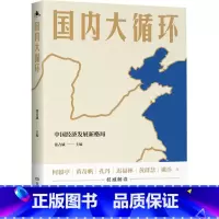 [正版]书店国内大循环(中国经济发展新格局) 中国经济湖南人民出版社普通大众