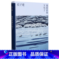 [正版]书店我的世界下雪了 迟子建著 中国文学-散文浙江文艺出版社普通大众