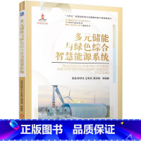 多元储能与绿色综合智慧能源系统 [正版]多元储能与绿色综合智慧能源系统
