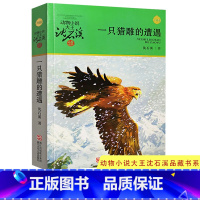 [正版]书店一只猎雕的遭遇(升级版)/动物小说大王沈石溪品藏书系 沈石溪著 中国儿童文学浙江少年儿童出版社小学生