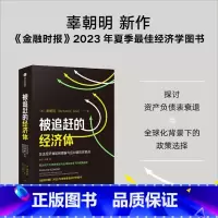 被追赶的经济体 [正版]被追赶的经济体