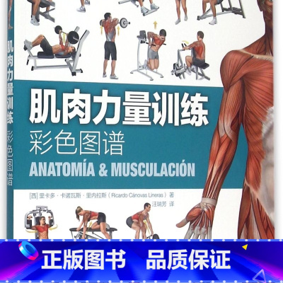 肌肉力量训练彩色图谱 [正版]肌肉力量训练彩色图谱