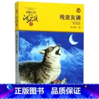 残狼灰满动物小说大王沈石溪 [正版]残狼灰满(升级版)/动物小说大王沈石溪品藏书系