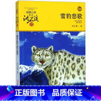 动物小说大王沈石溪品藏书系 雪豹悲歌 [正版]书店雪豹悲歌(升级版)/动物小说大王沈石溪品藏书系 沈石溪著 中国儿童文学