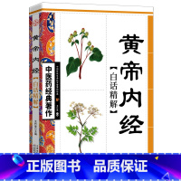 [正版]黄帝内经白话精解/中医药经典著作