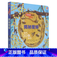 揭秘蜜蜂(低幼版)(精)/尤斯伯恩看里面 [正版]揭秘蜜蜂(低幼版)(精)/尤斯伯恩看里面